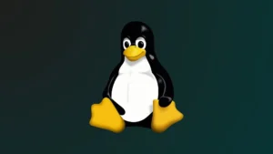 تحذير رسمي من CISA بشأن استغلال ثغرات نواة Linux 